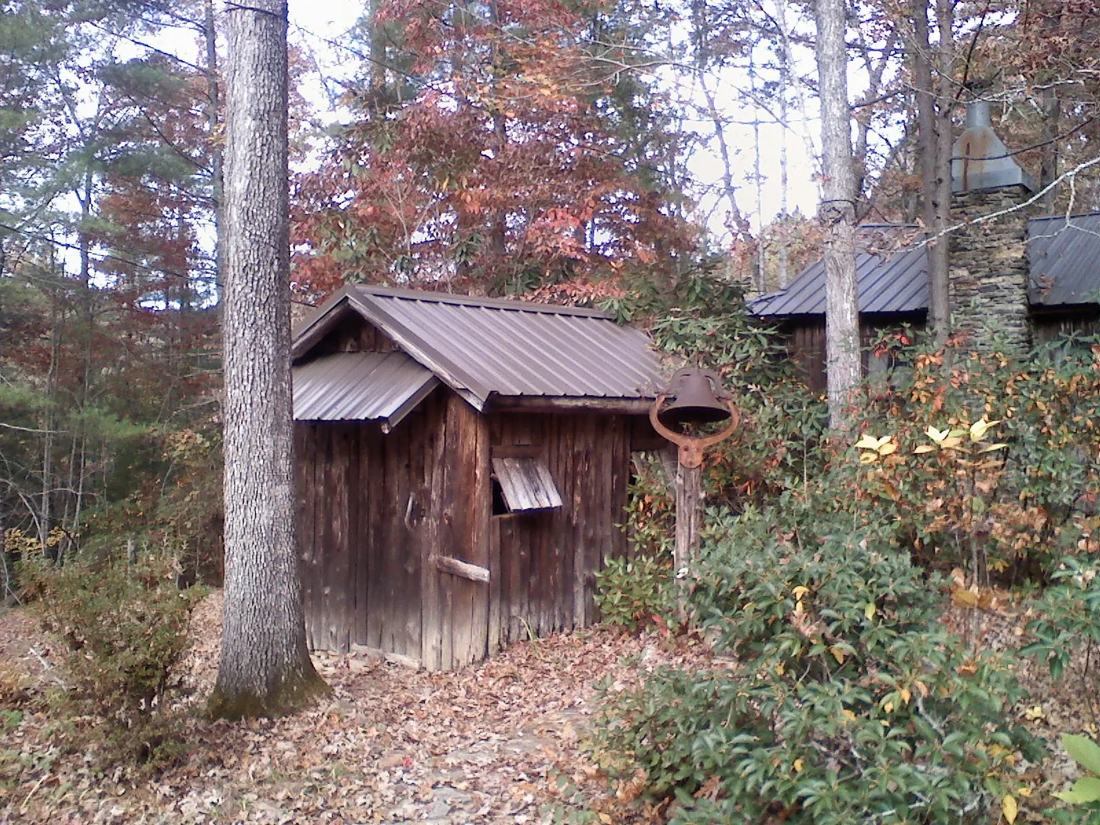 Small metal roof on a rough sawn shed in the woods in Boynton Beach